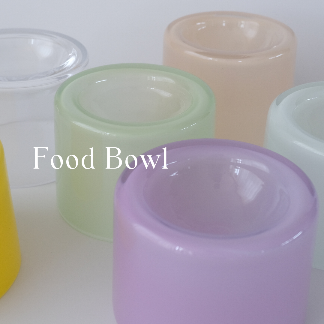 Food Bowls