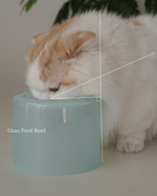 Glass Food Bowl／Peach