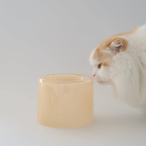 Glass Food Bowl／Peach