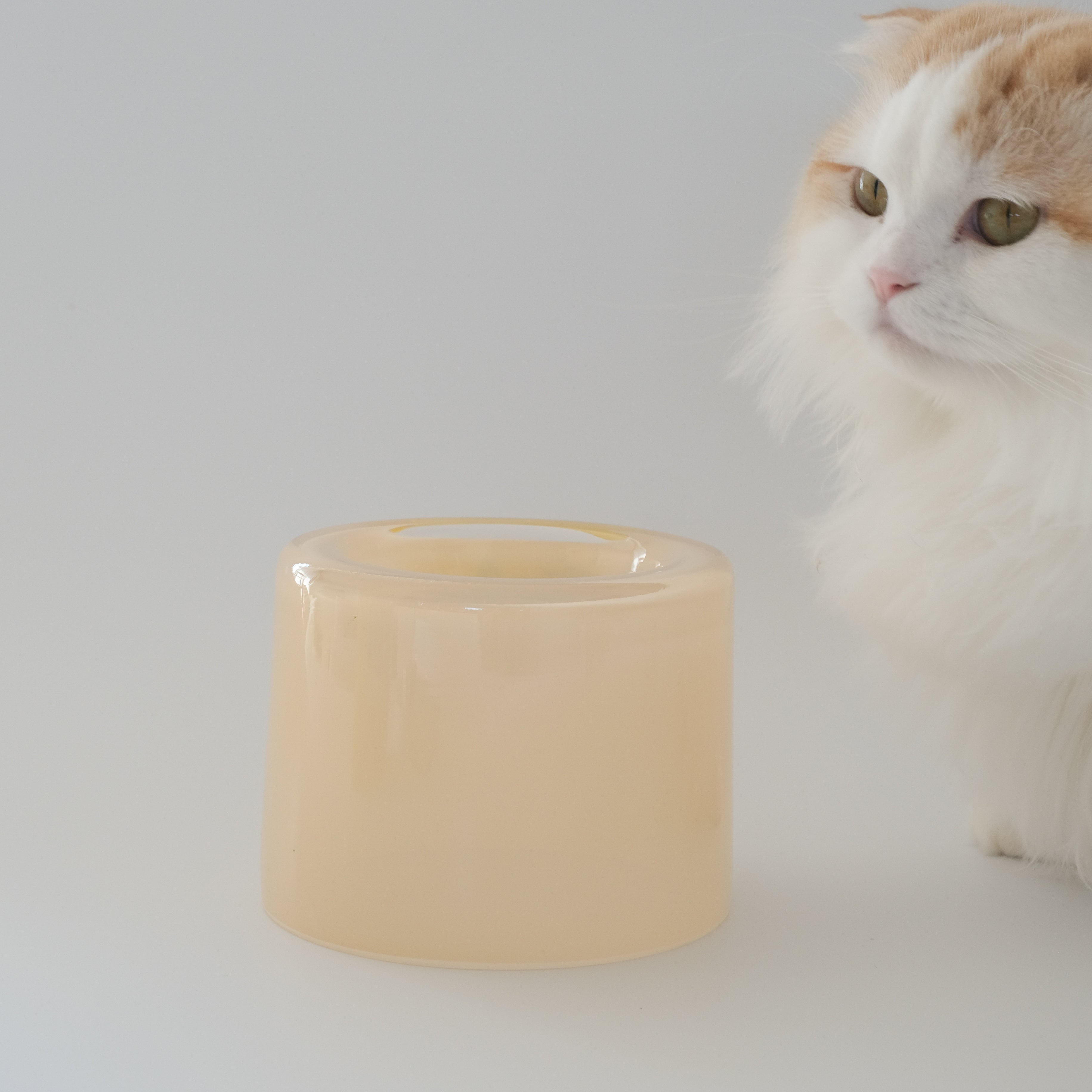 Glass Food Bowl／Peach