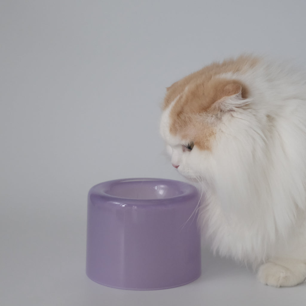 Glass Food Bowl／Purple