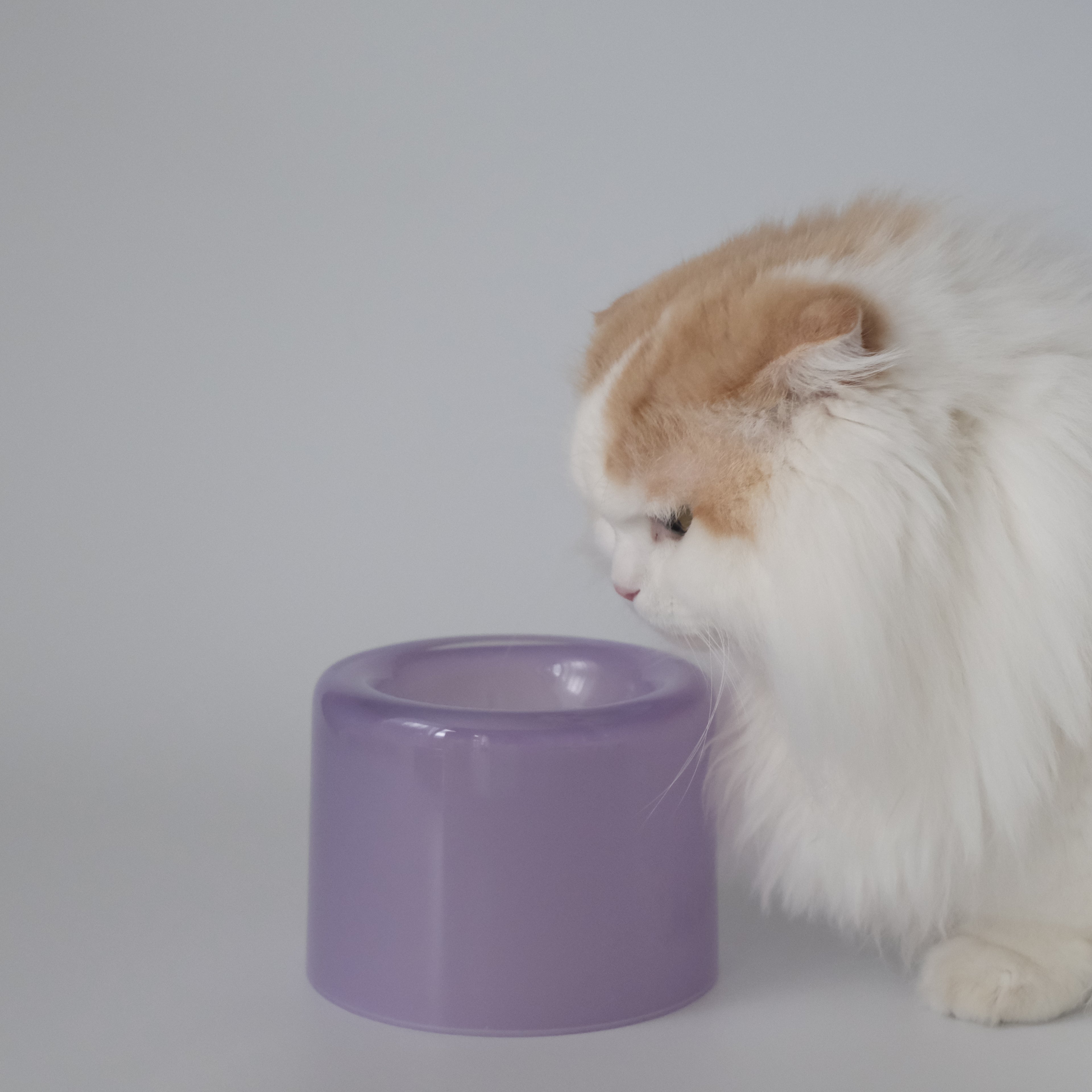 Glass Food Bowl／Purple