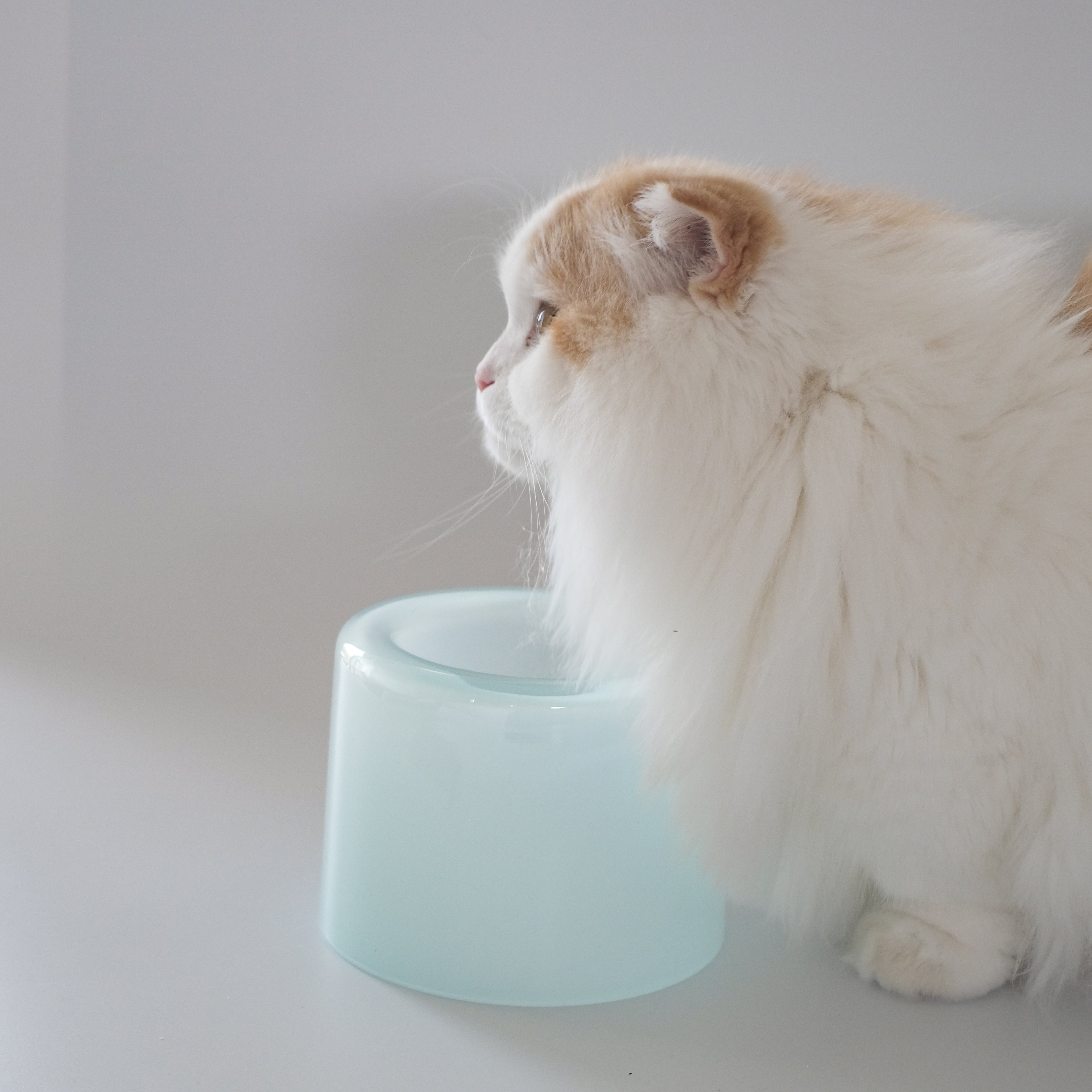 Glass Food Bowl／Ice Mint