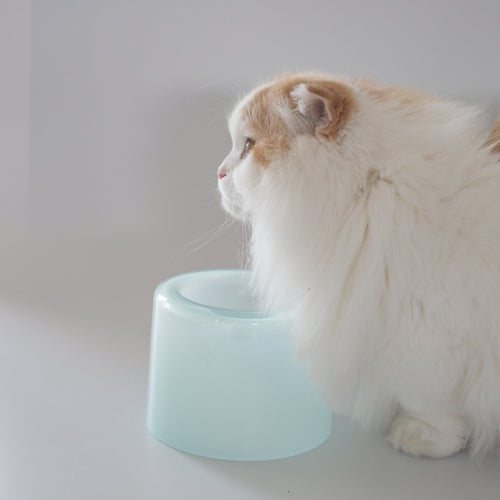 Glass Food Bowl／Ice Mint