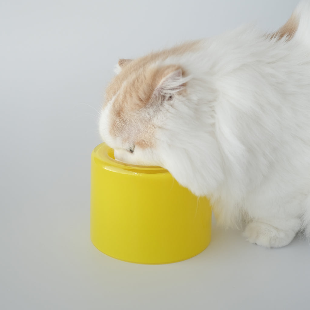 Glass Food Bowl／Mango Yellow