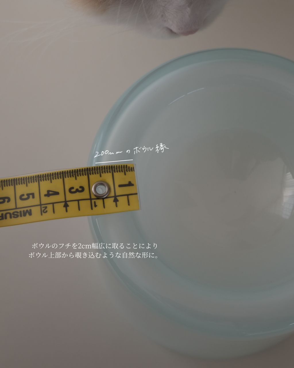Glass Food Bowl／Peach