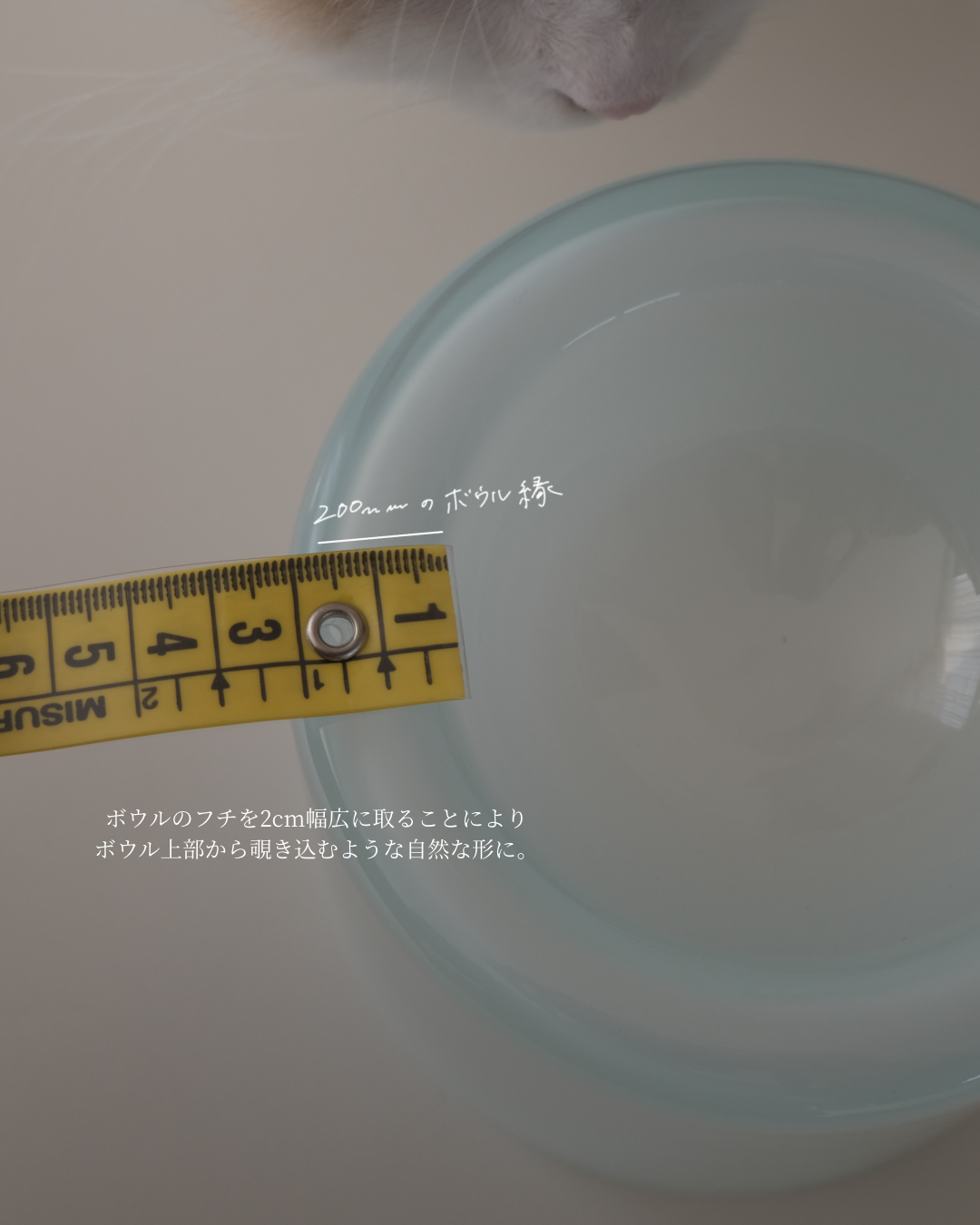 Glass Food Bowl／Peach