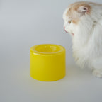 Glass Food Bowl／Mango Yellow