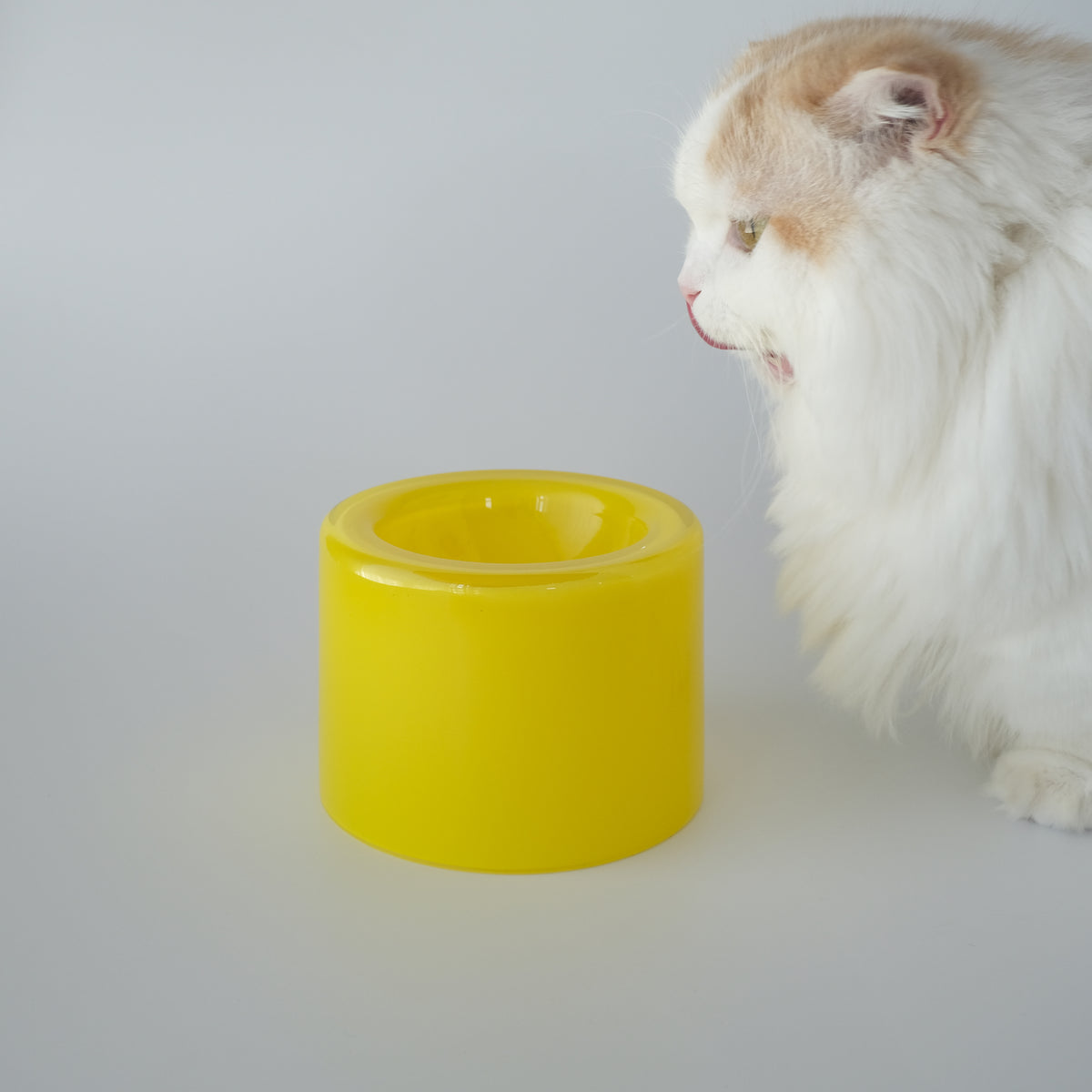 Glass Food Bowl／Mango Yellow