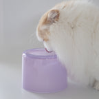 Glass Food Bowl／Purple