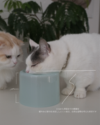 Glass Food Bowl／Peach