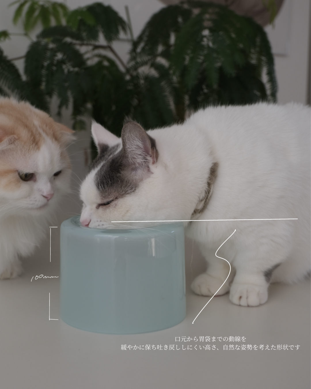 Glass Food Bowl／Peach