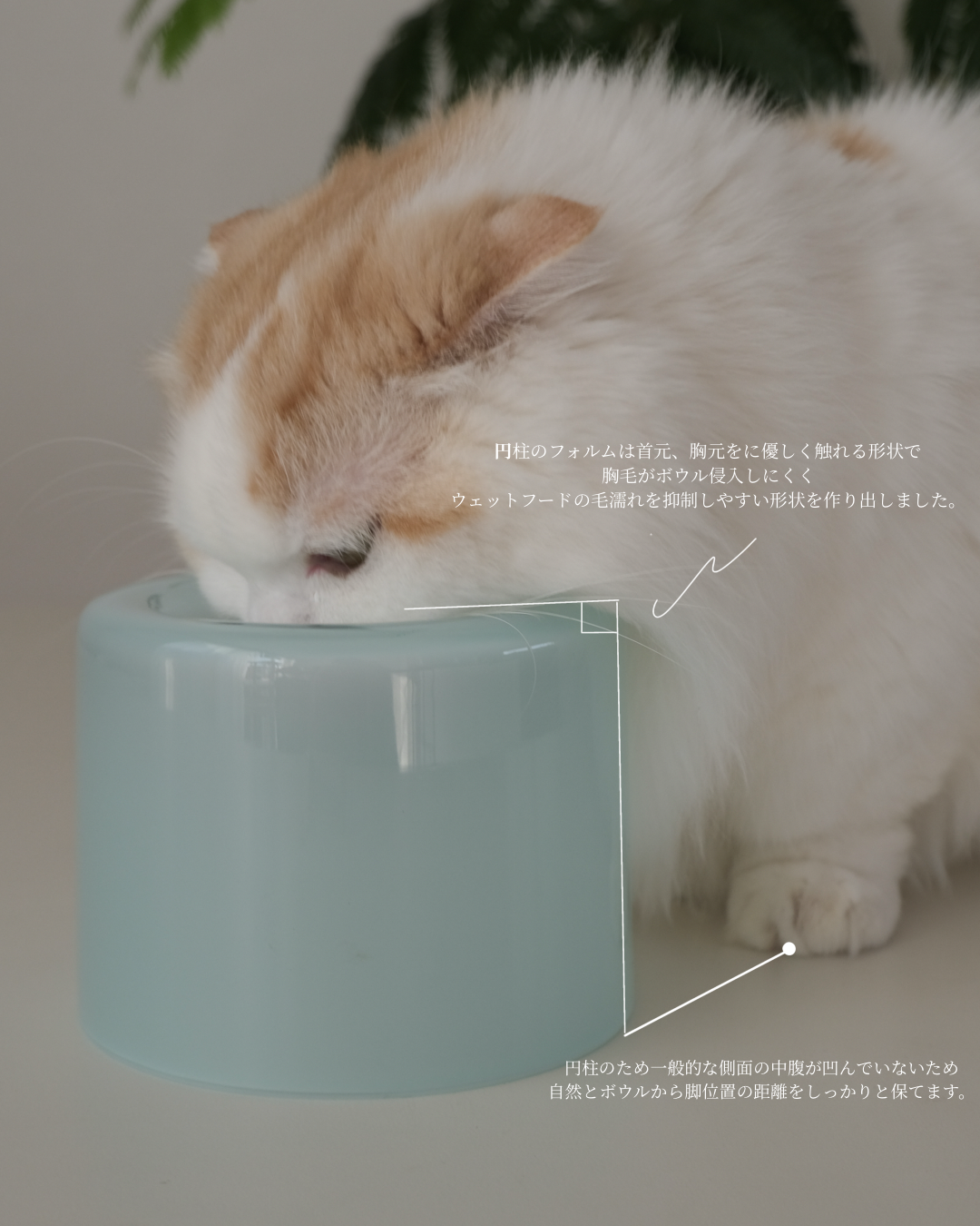 Glass Food Bowl／Peach