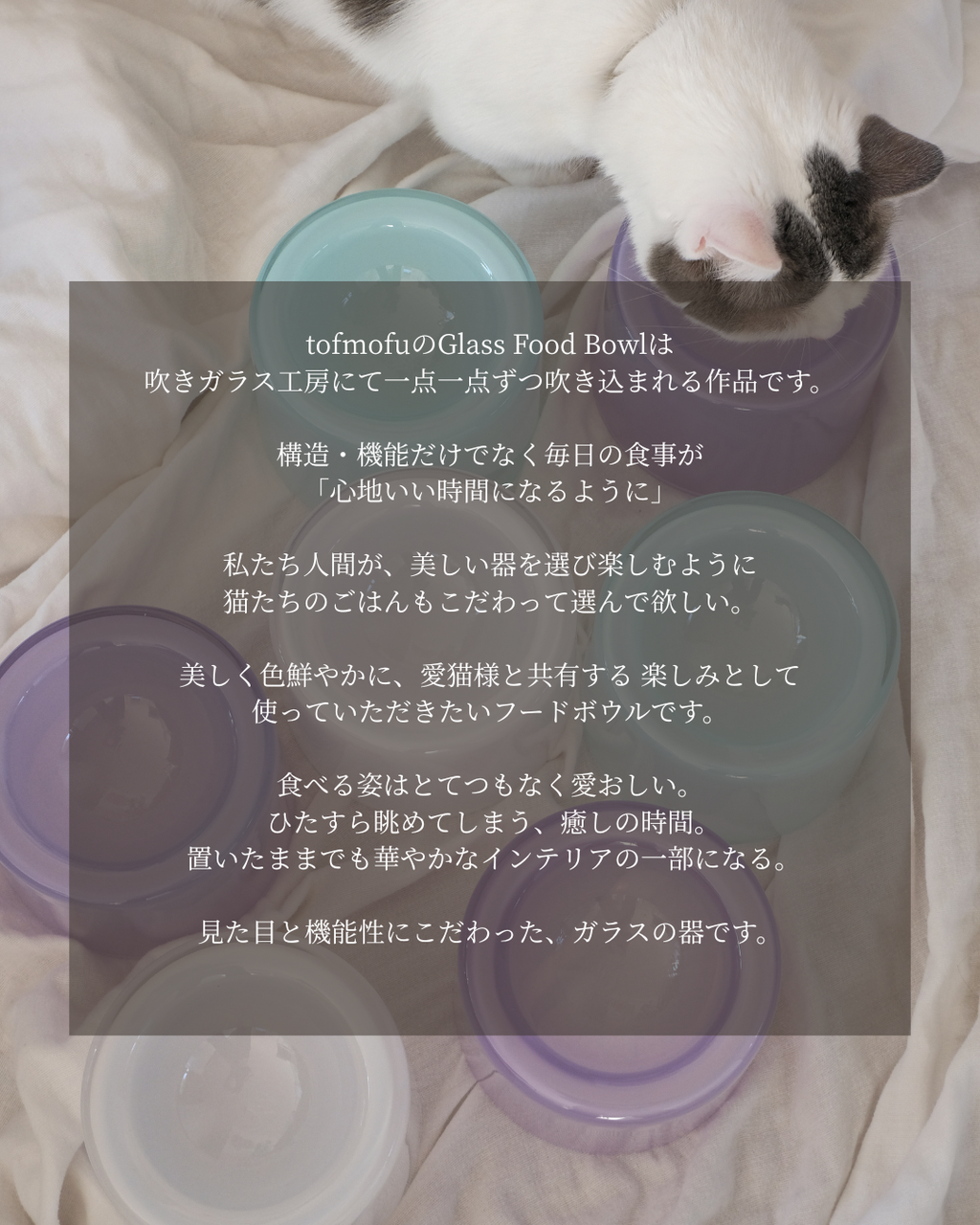 Glass Food Bowl／Peach